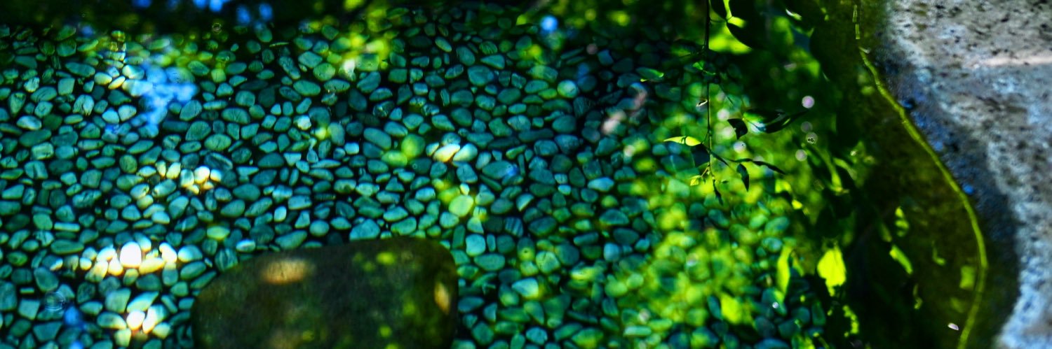 plants_franz's profile banner image
