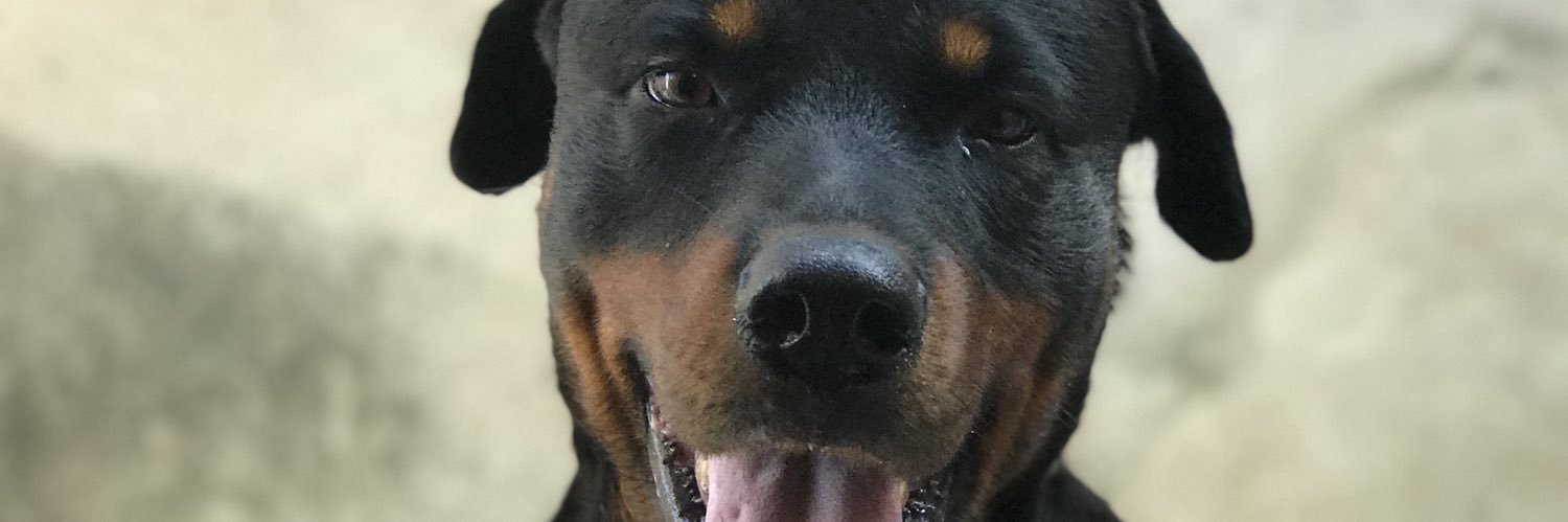 ThatianeCanedo's profile banner image