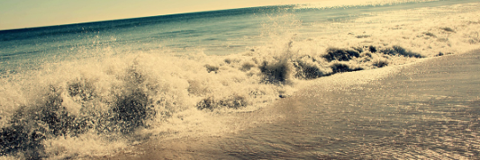 LynnSheplerMD's profile banner image
