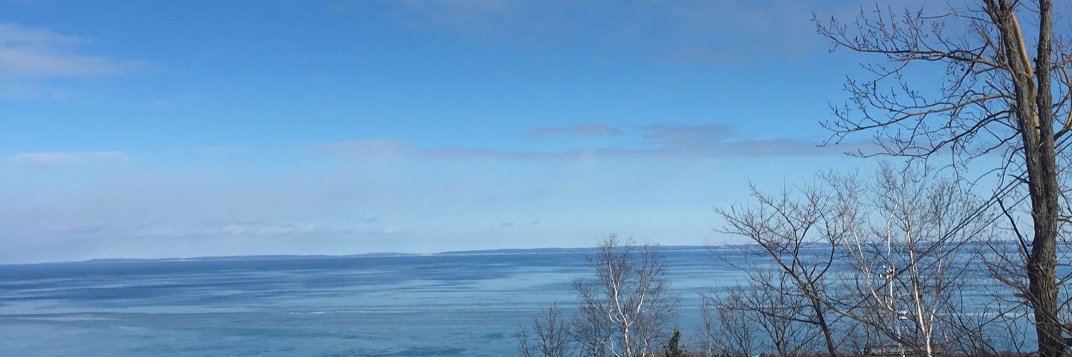 maevees's profile banner image
