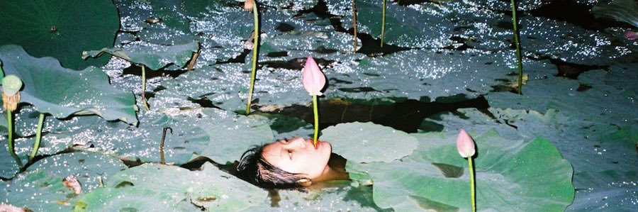 meghan's banner