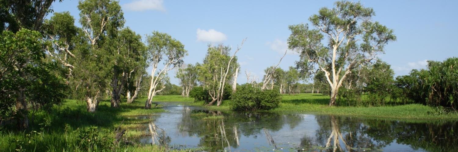 Ralph van Wolffelaar banner