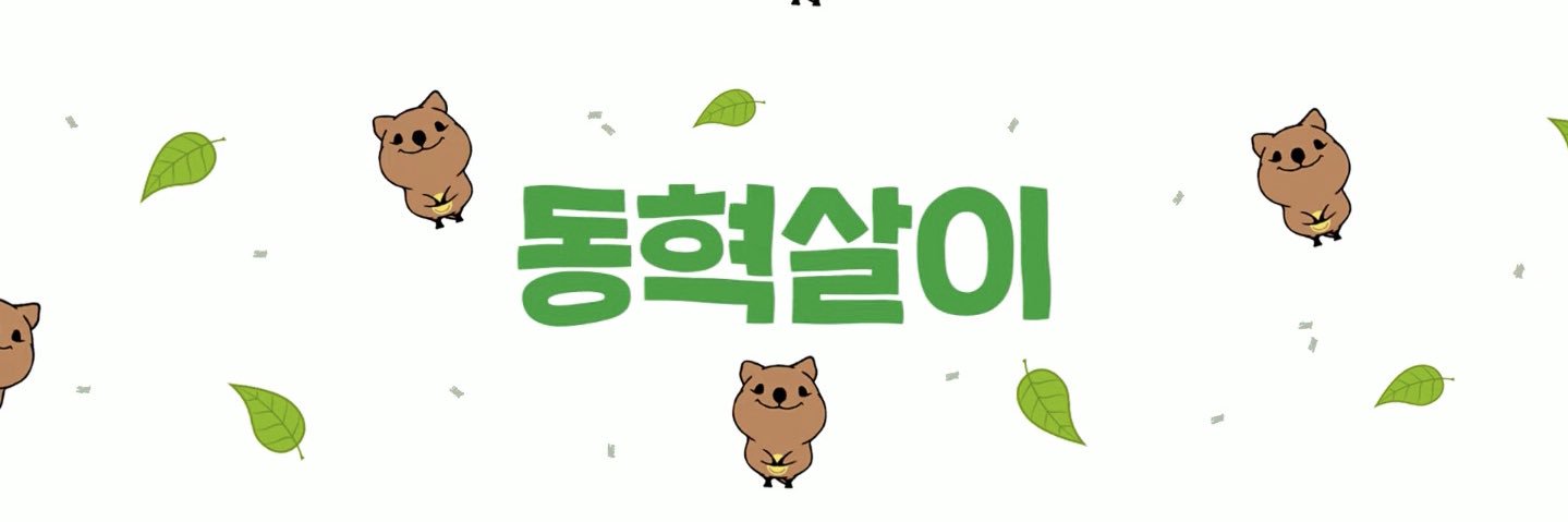 ᯅ̈ .~ NoaSAMA .*- ꪔ̤̥ banner