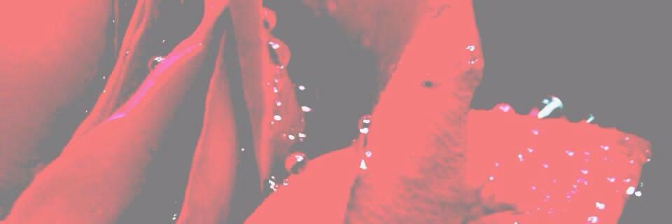 1117sssss's profile banner image