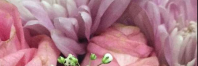 _mlak_1's profile banner image