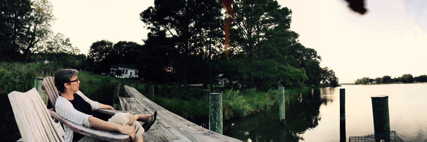 kathy bosin banner