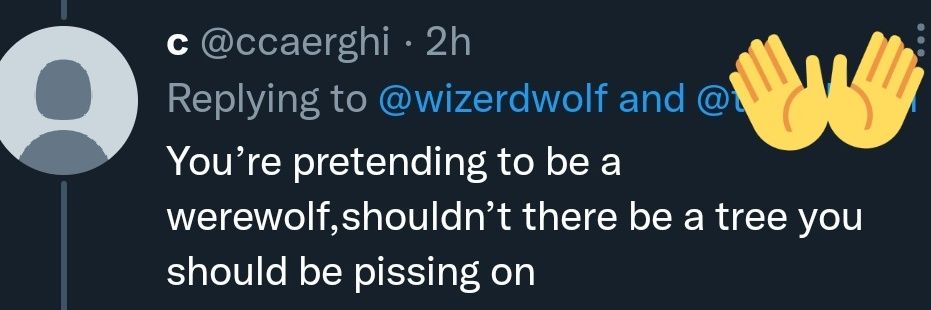 wizerdwolf's profile banner image
