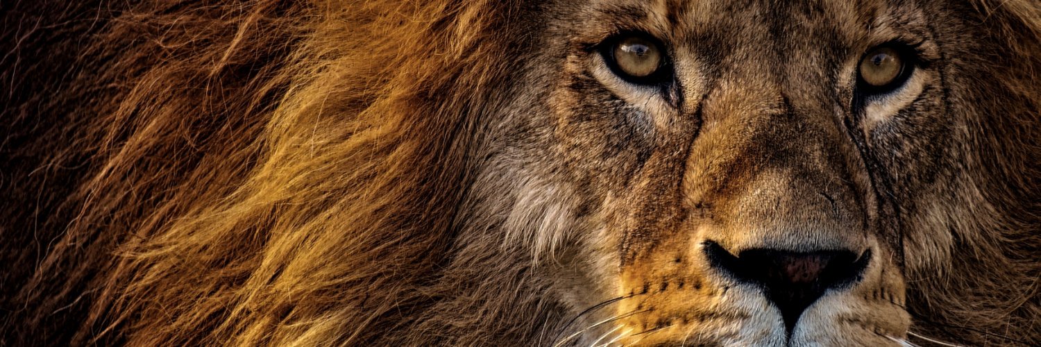 chrissteenbeck's profile banner image