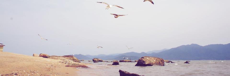 PatativaMoog's profile banner image