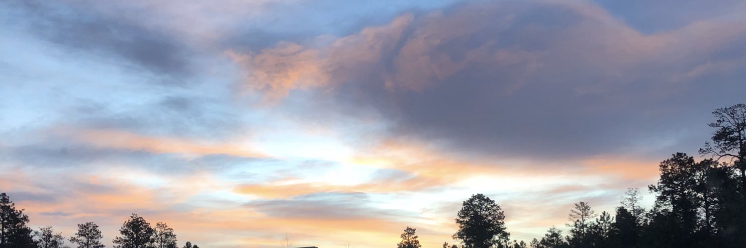 ZellmannMartha's profile banner image