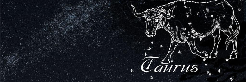 tauruszodiac01's profile banner image
