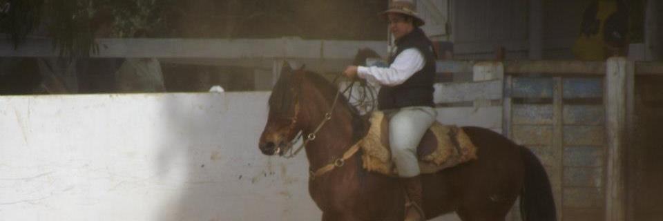 LCamargo1's profile banner image
