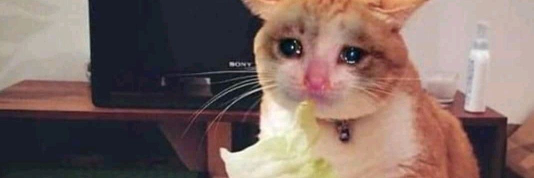 Aqui é a Carla banner