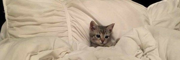 Cresceinth Profile Banner