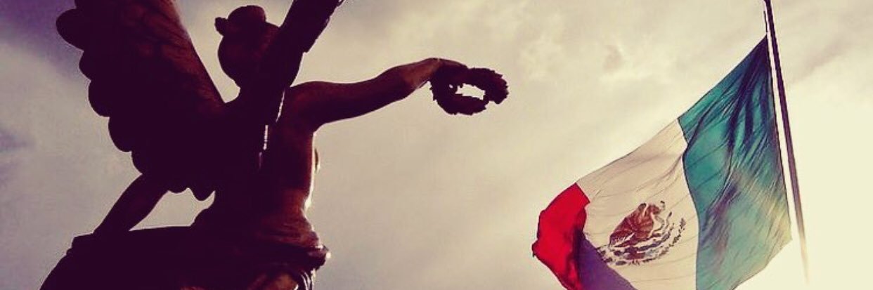 licea16's profile banner image