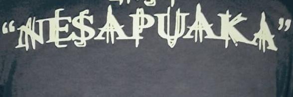 NeSaPuakaBand's profile banner image