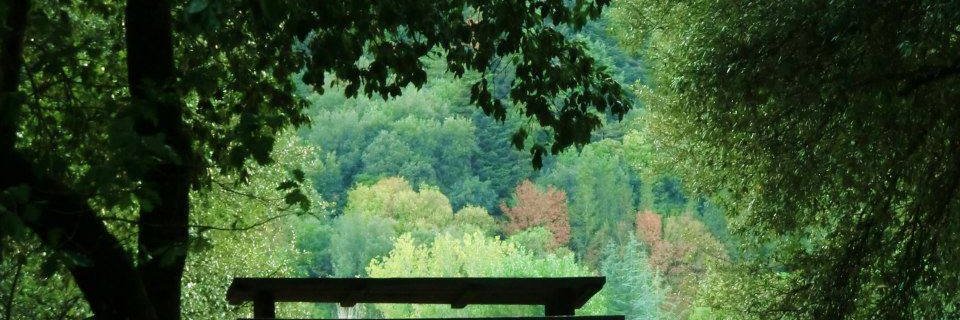 daniela agostini #iononvotoPD banner