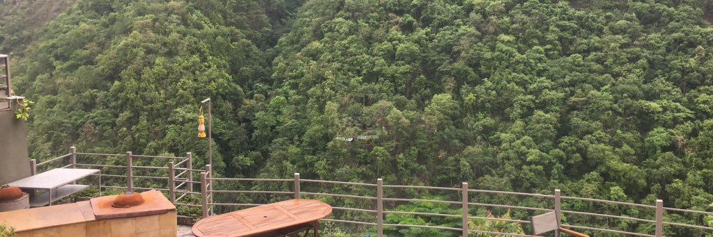 dhavaljani's profile banner image