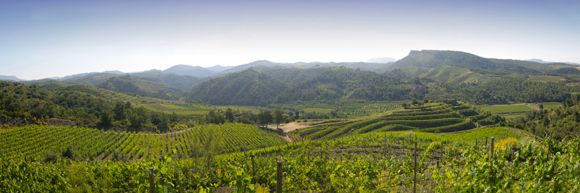 WineBehindLabel's profile banner image