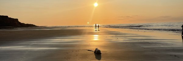 thedovecoteorg Profile Banner