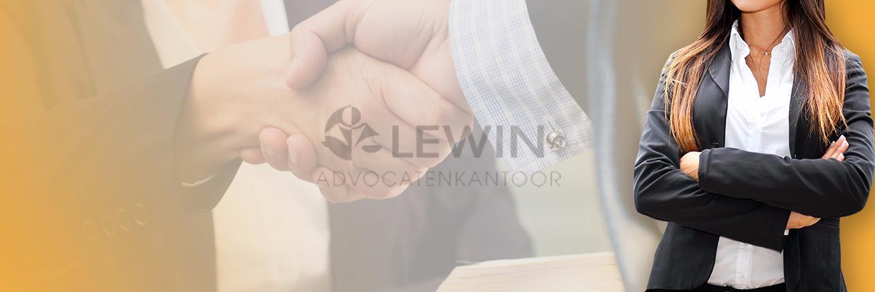HannekeLewin's profile banner image