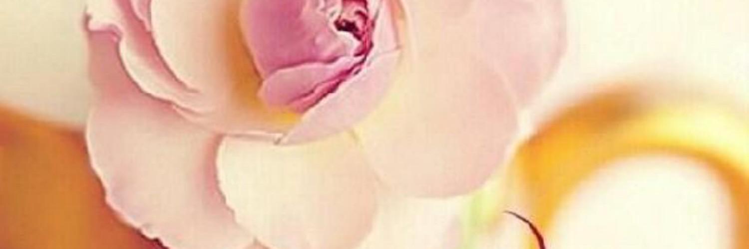 Jihands9313's profile banner image