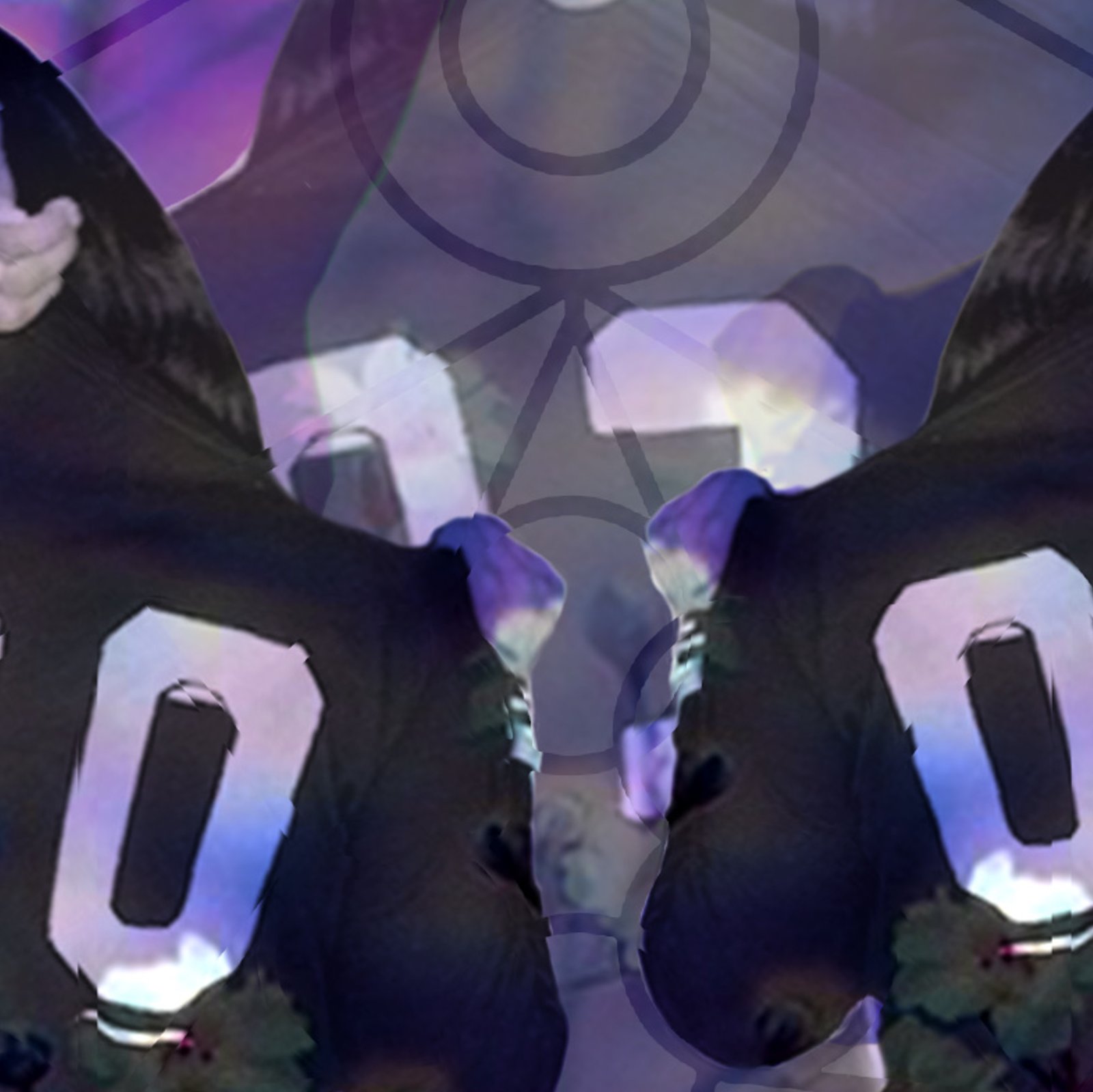 DulceHuai's profile banner image