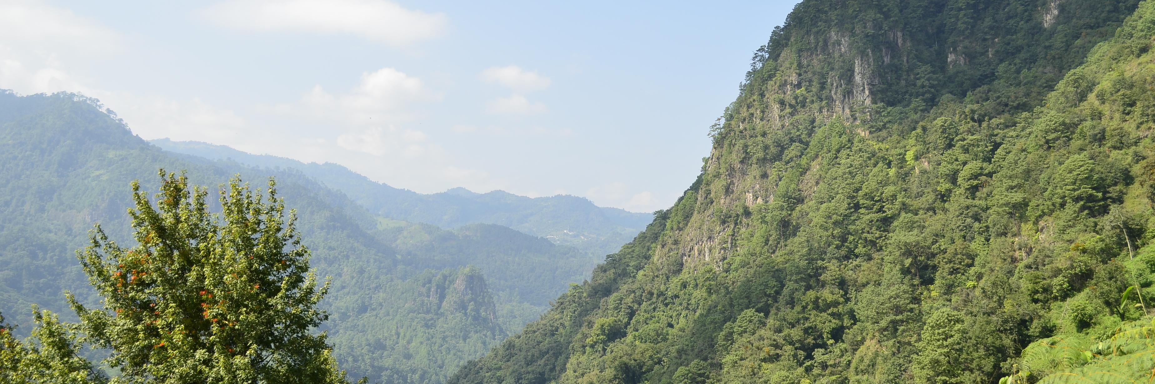 Tosepan Limakxtum banner