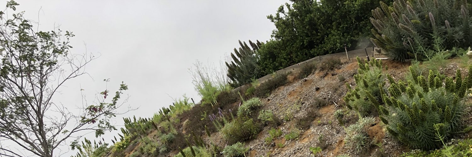 Renee_Create's profile banner image