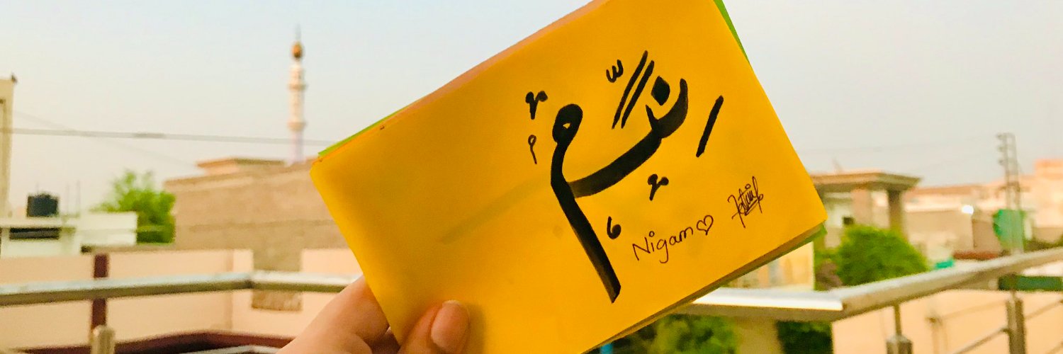 thefeistykitty's profile banner image