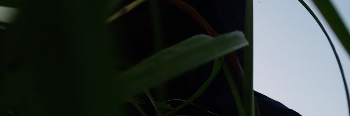 thepaudeln's profile banner image