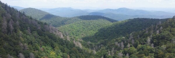 DMFTswag Profile Banner