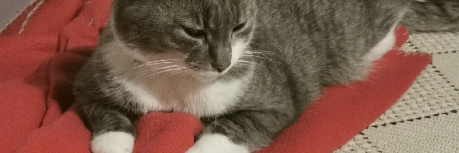 Alessandrameucciegidi banner