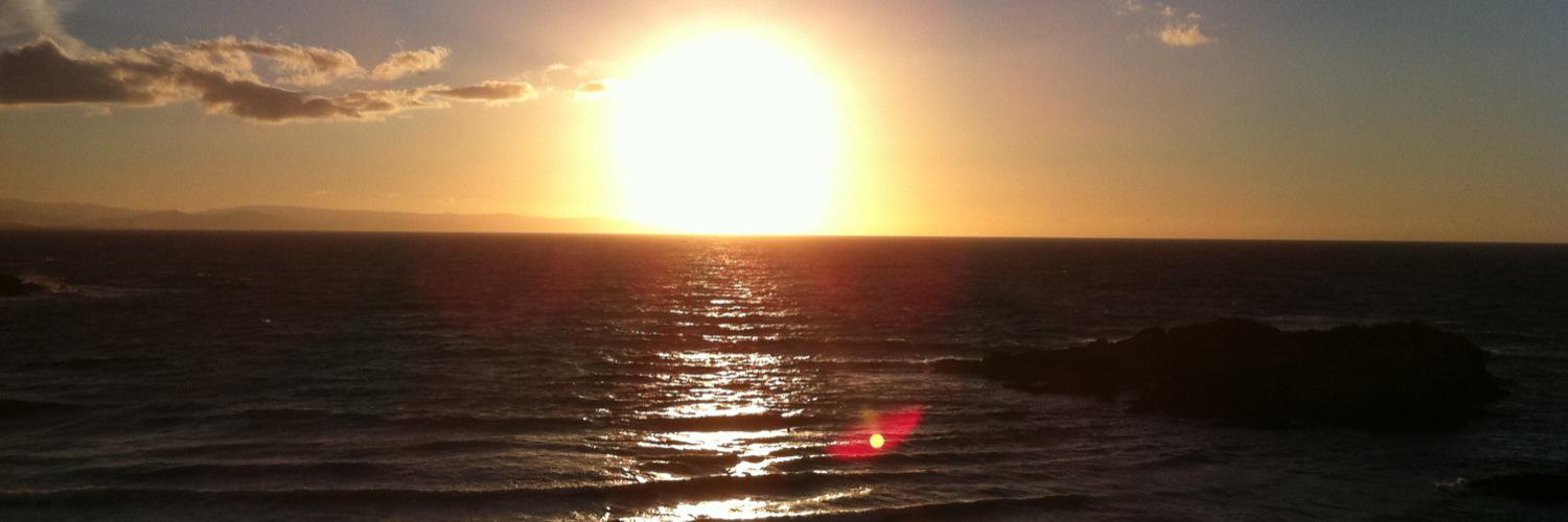 Bernardo Bonet banner