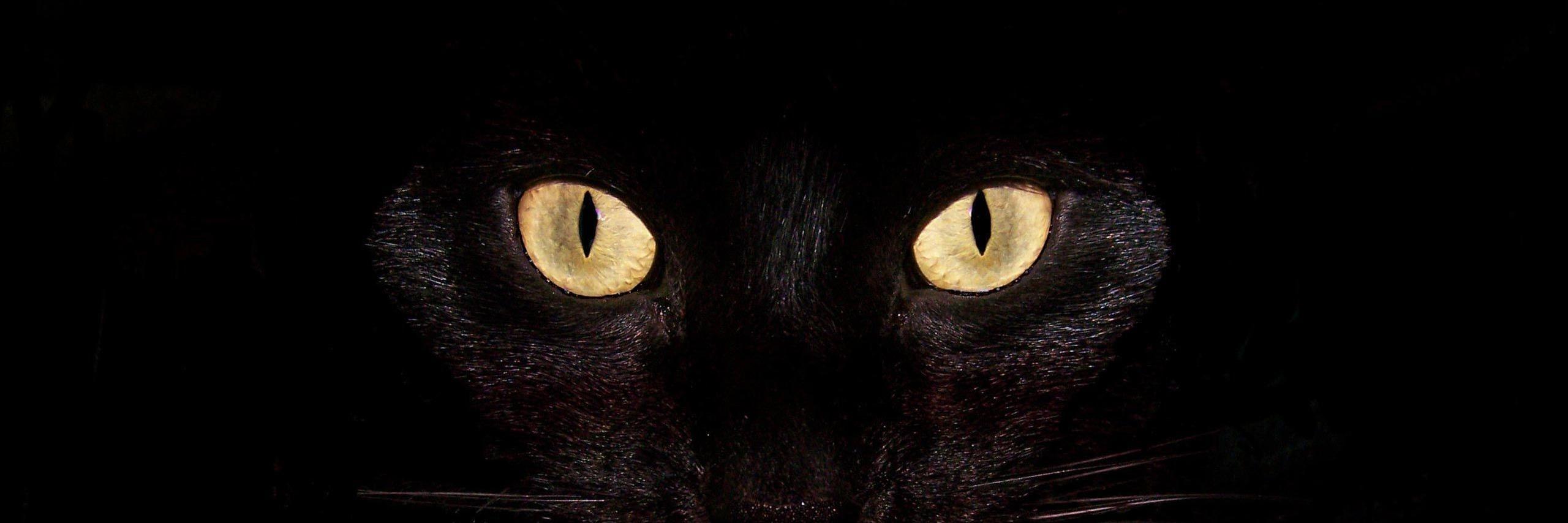 lauraWsays's profile banner image