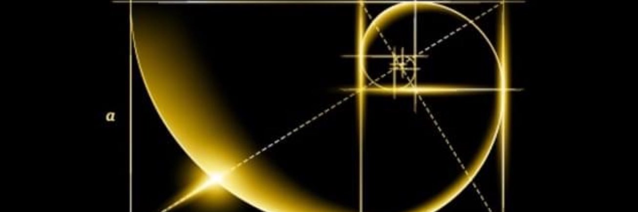 XRP 👑🏴‍☠️ banner