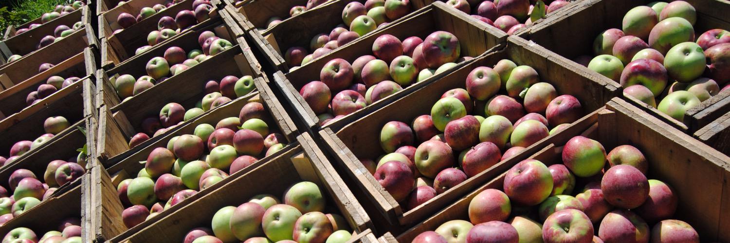 Red Apple Farm banner