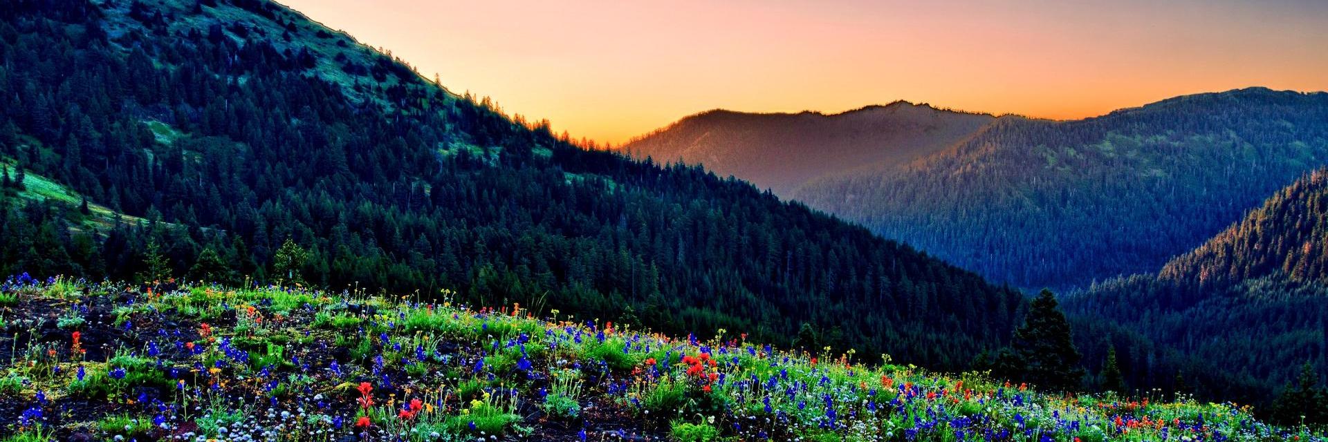 TheBestEarthPic's profile banner image