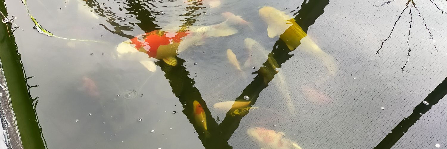 Husky Mum 🐺❤️ banner