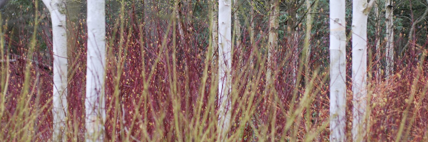 Queen Lizzie III #NHSBlueHeart💙#FBPE#FBPR#FBPA banner