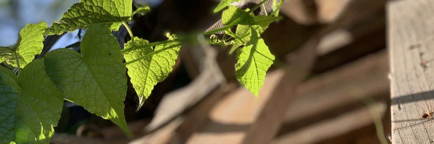 paulmesa93's profile banner image