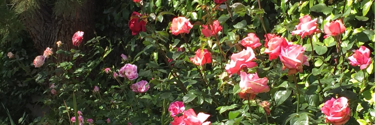 4sooth's profile banner image