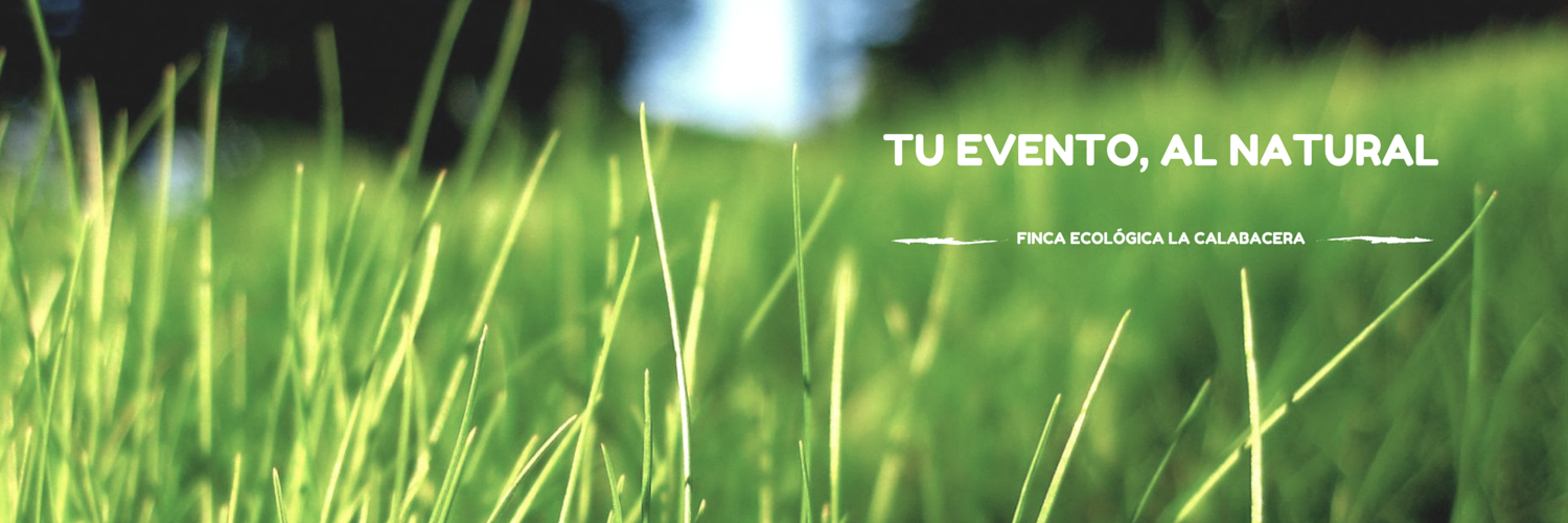 LaCalabacera's profile banner image