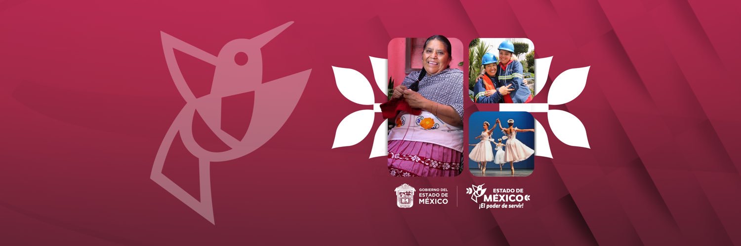 Delfina Gómez A.'s banner