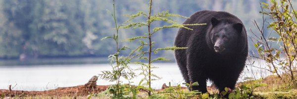 FelixPretis Profile Banner