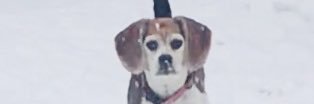 maryheywardfore's profile banner image