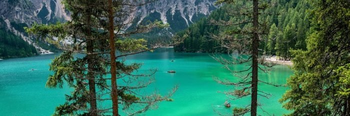 خدمات الدعم banner