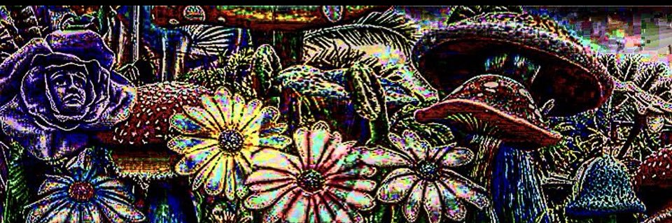 ☪︎ Yung Ol Shams Al-Dīn ☪︎ banner