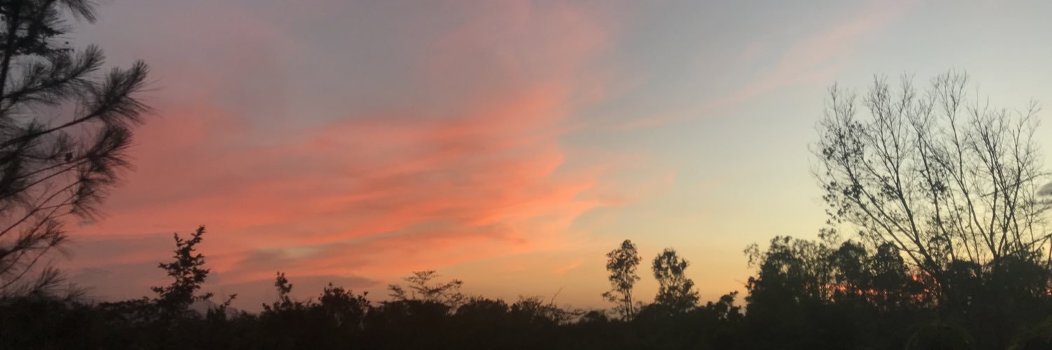 lucyaybarn's profile banner image