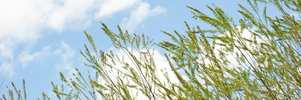 EnergikontorMd Profile Banner